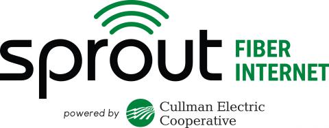 Sprout Fiber Internet 