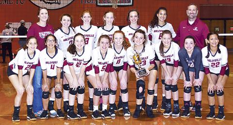 Haleyville Lady Lions Win Area Tournament | Northwest Alabamian